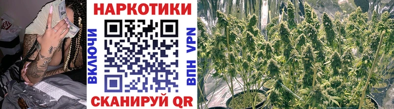 Продажа наркотиков Новосокольники Экстази  Alpha-PVP  Меф мяу мяу  Кокаин 
